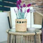 Casa Viola Апартаменты Шибеник